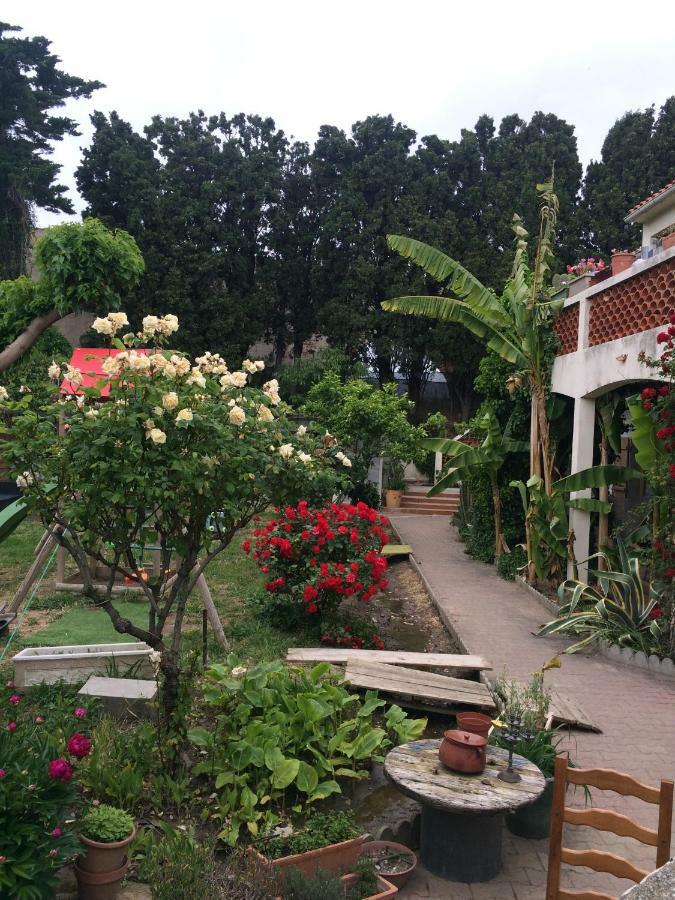 Vila Haras Des Arcades Perpignan Exteriér fotografie